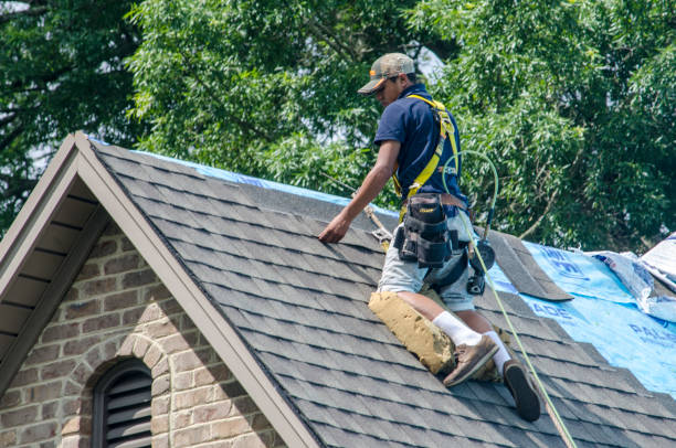 Best Roof Gutter Cleaning  in Cedar Point, NC